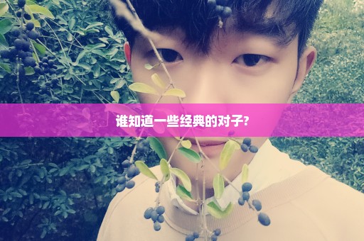 谁知道一些经典的对子?