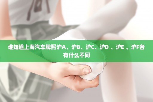 谁知道上海汽车牌照沪A、沪B、沪C、沪D 、沪E 、沪F各有什么不同