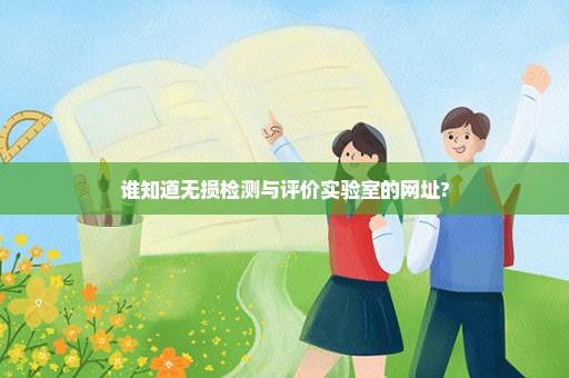 谁知道无损检测与评价实验室的网址?