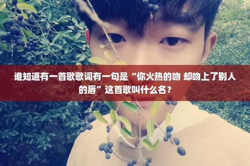 谁知道有一首歌歌词有一句是“你火热的吻 却吻上了别人的唇”这首歌叫什么名？