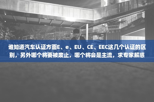 谁知道汽车认证方面E、e、EU、CE、EEC这几个认证的区别，另外哪个将要被废止，哪个将会是主流，求专家解惑