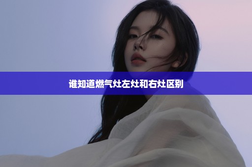 谁知道燃气灶左灶和右灶区别