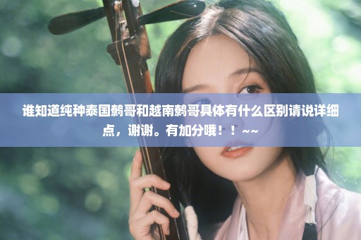 谁知道纯种泰国鹩哥和越南鹩哥具体有什么区别请说详细点，谢谢。有加分哦！！~~