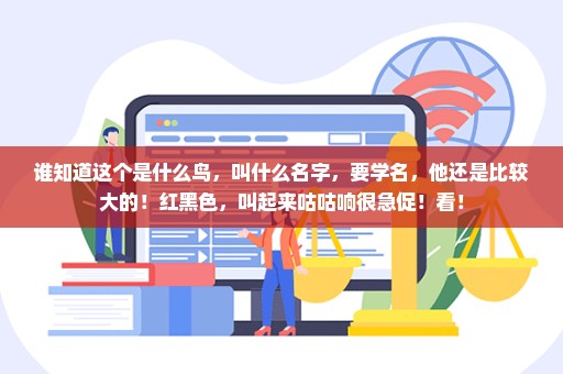谁知道这个是什么鸟，叫什么名字，要学名，他还是比较大的！红黑色，叫起来咕咕响很急促！看！