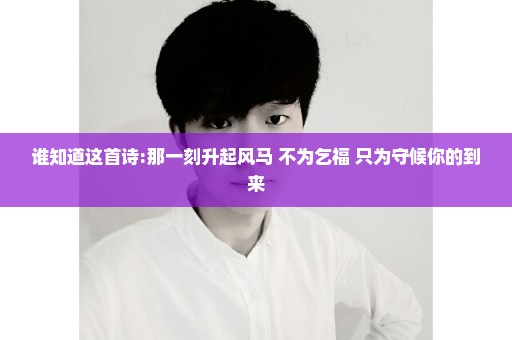 谁知道这首诗:那一刻升起风马 不为乞福 只为守候你的到来