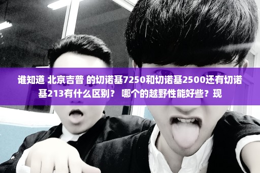 谁知道 北京吉普 的切诺基7250和切诺基2500还有切诺基213有什么区别？ 哪个的越野性能好些？现