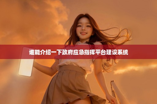谁能介绍一下政府应急指挥平台建设系统