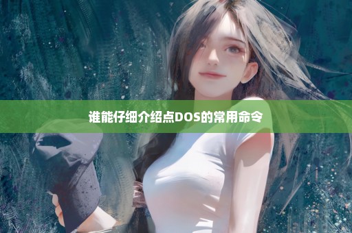 谁能仔细介绍点DOS的常用命令
