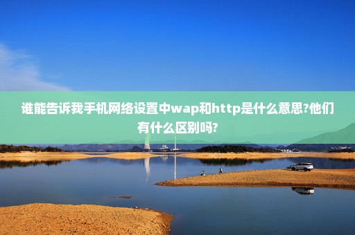 谁能告诉我手机网络设置中wap和http是什么意思?他们有什么区别吗?