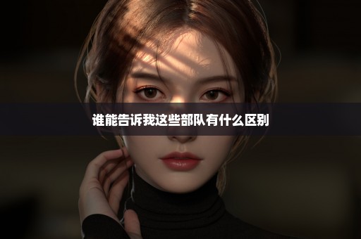 谁能告诉我这些部队有什么区别