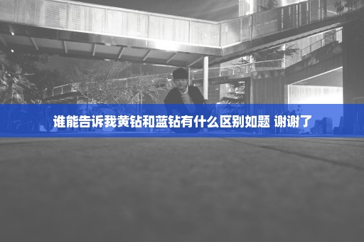 谁能告诉我黄钻和蓝钻有什么区别如题 谢谢了