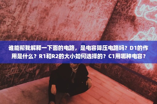 谁能帮我解释一下面的电路，是电容降压电路吗？D1的作用是什么？R1和R2的大小如何选择的？C1用哪种电容？
