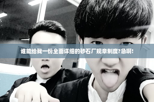 谁能给我一份全面详细的砂石厂规章制度?急啊!