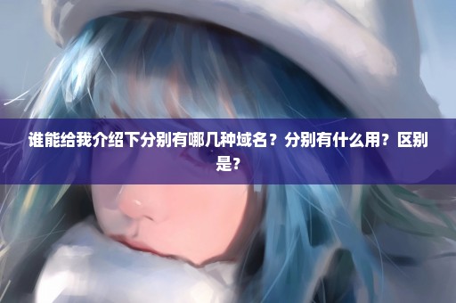 谁能给我介绍下分别有哪几种域名？分别有什么用？区别是？