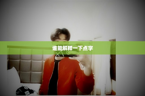 谁能解释一下点字