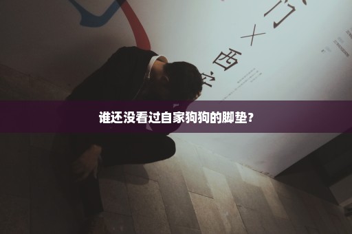 谁还没看过自家狗狗的脚垫？