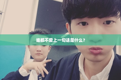 谁都不爱上一句话是什么？