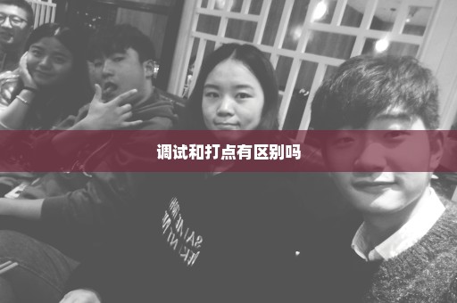 调试和打点有区别吗