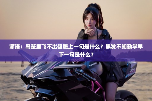 谚语：鸟笼里飞不出雄鹰上一句是什么？黑发不知勤学早下一句是什么？
