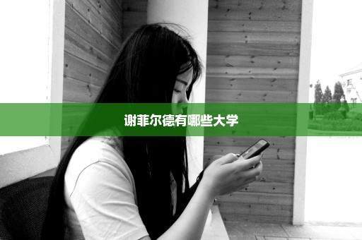 谢菲尔德有哪些大学