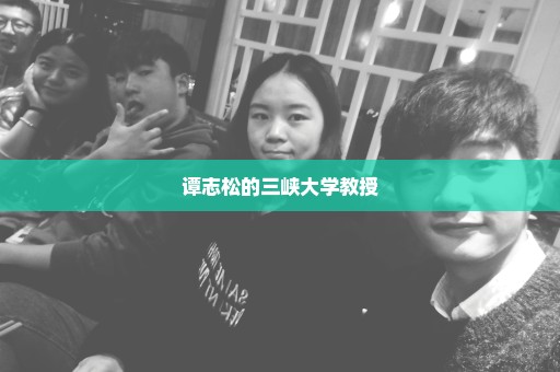 谭志松的三峡大学教授
