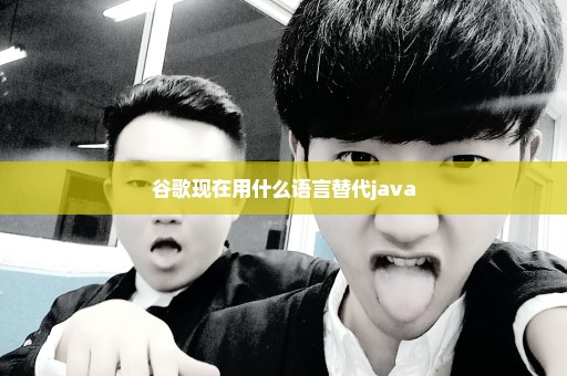 谷歌现在用什么语言替代java