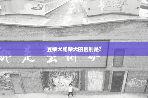 豆柴犬和柴犬的区别是?