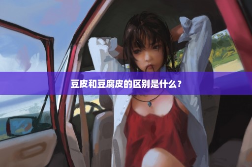 豆皮和豆腐皮的区别是什么？