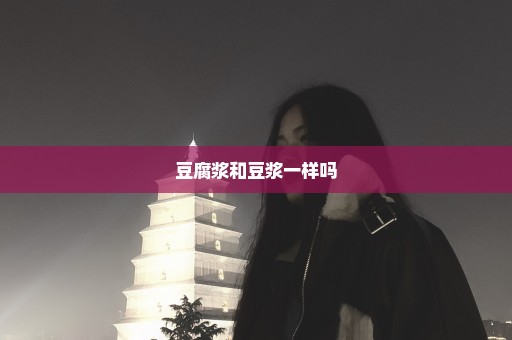 豆腐浆和豆浆一样吗