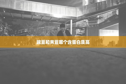 豌豆和黄豆哪个含蛋白质高