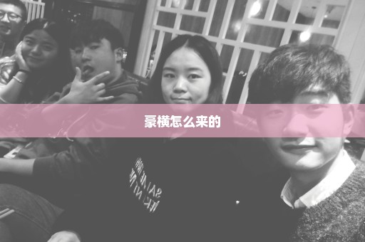 豪横怎么来的