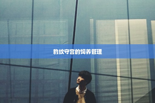 豹纹守宫的饲养管理