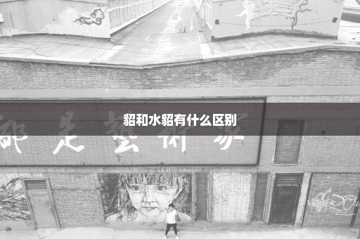 貂和水貂有什么区别