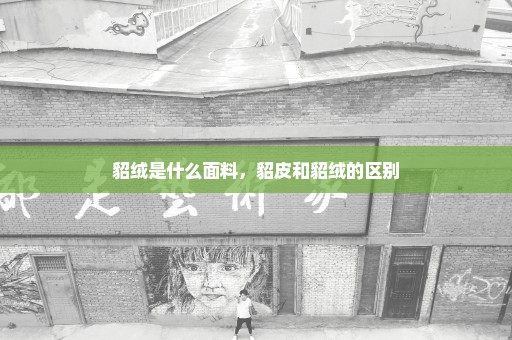 貂绒是什么面料，貂皮和貂绒的区别