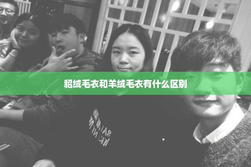 貂绒毛衣和羊绒毛衣有什么区别