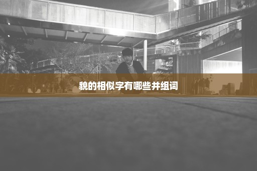貌的相似字有哪些并组词