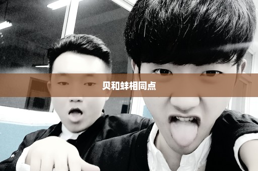 贝和蚌相同点