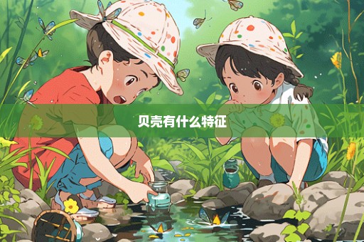 贝壳有什么特征