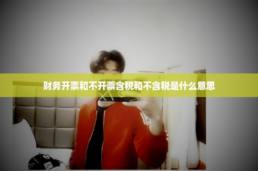 财务开票和不开票含税和不含税是什么意思
