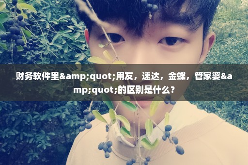 财务软件里"用友，速达，金蝶，管家婆"的区别是什么？