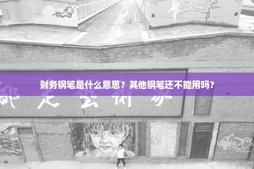 财务钢笔是什么意思？其他钢笔还不能用吗？