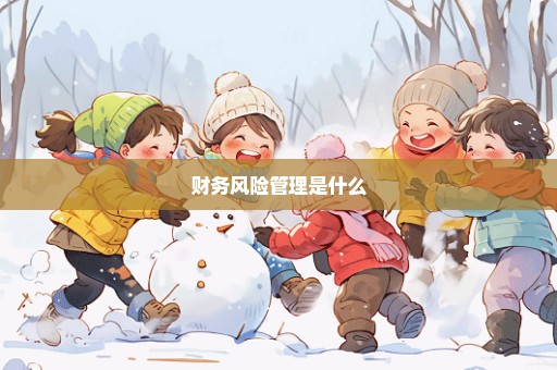 财务风险管理是什么