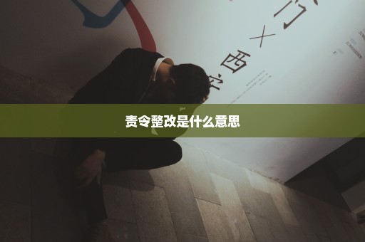 责令整改是什么意思