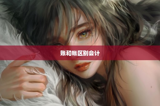 账和帐区别会计