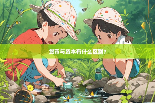 货币与资本有什么区别？