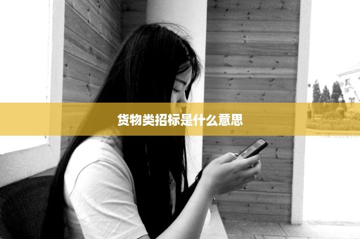 货物类招标是什么意思