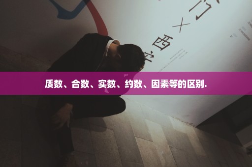 质数、合数、实数、约数、因素等的区别.