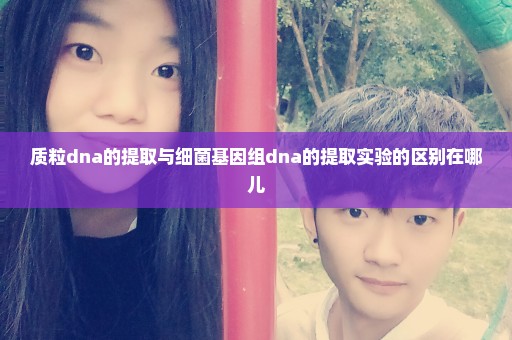 质粒dna的提取与细菌基因组dna的提取实验的区别在哪儿