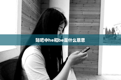 贴吧中he和be是什么意思