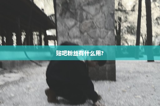 贴吧粉丝有什么用?